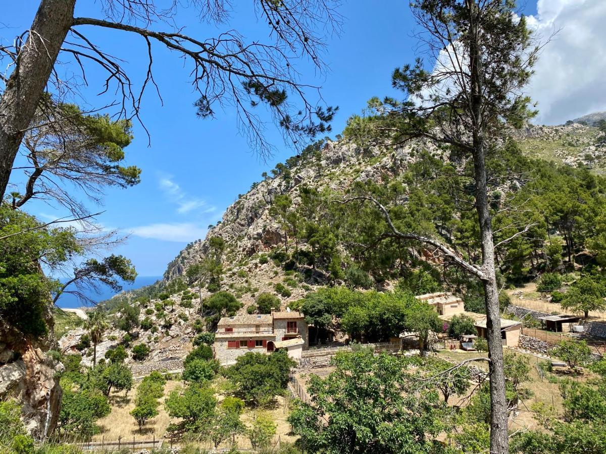 Finca Ses Fontanelles Andratx Exterior photo
